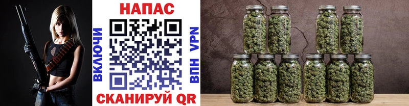 Где купить Медынь Cocaine  А ПВП  Меф  мега как зайти  Марихуана  ГАШИШ  Псилоцибиновые грибы 
